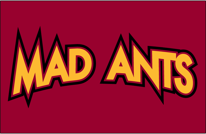 Fort Wayne Mad Ants 2006-2017 Jersey Logo iron on heat transfer